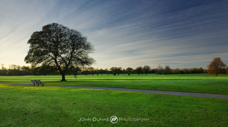 FoC - Front Gardens 01 by John Dunne.