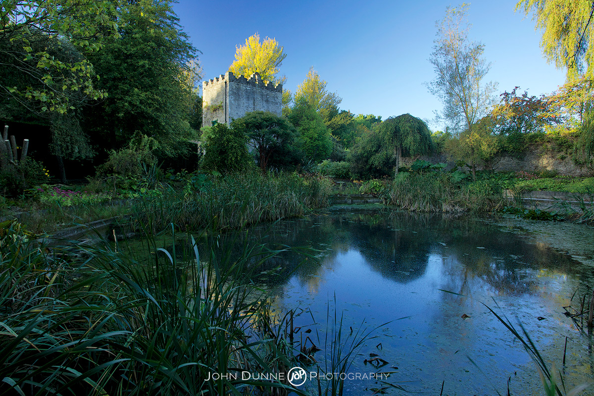 WG - West of Path to Pond 01 by John Dunne.