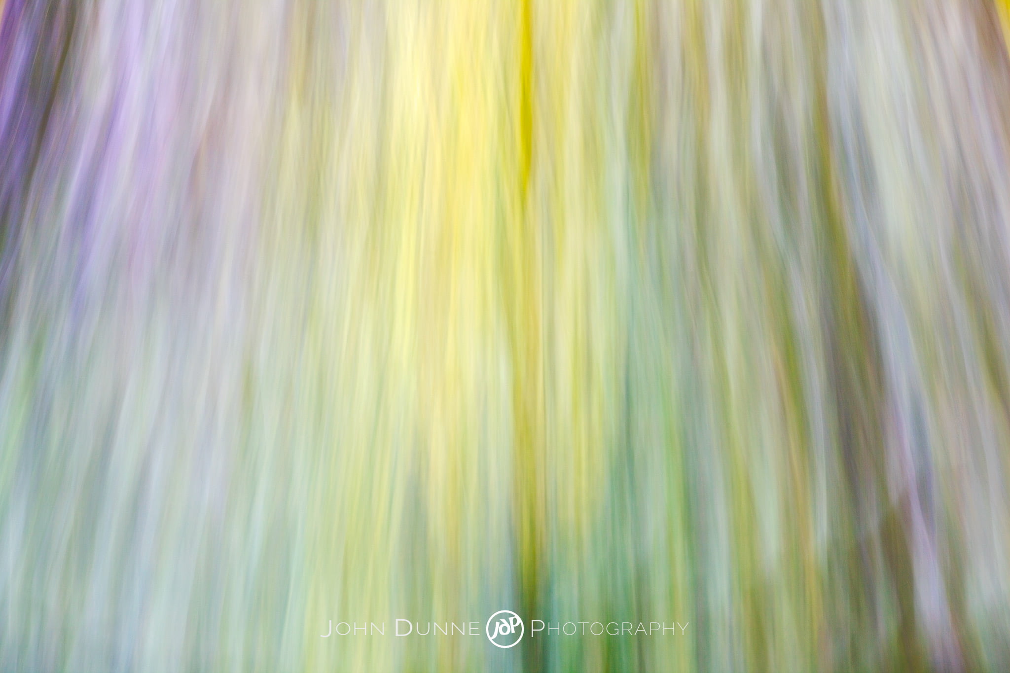 Autumnal Abstract #01 by John Dunne. 