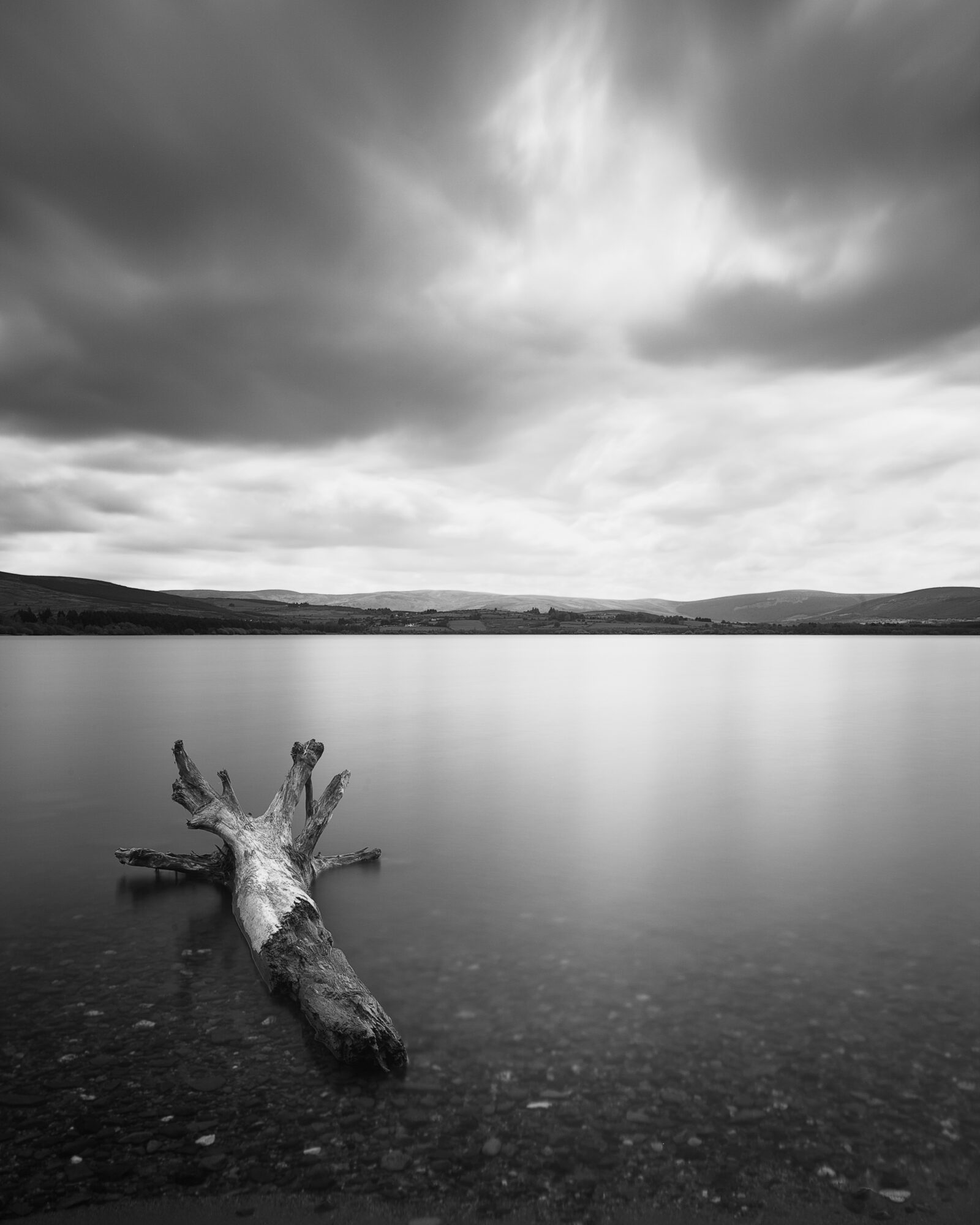 Forgotten by John Dunne. 
