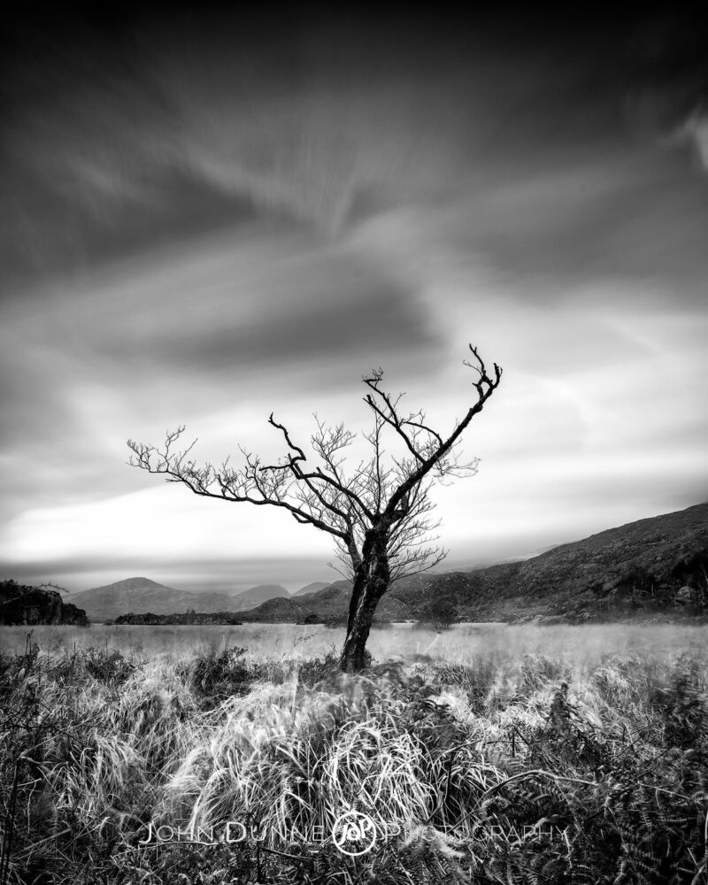 Resilience by © John Dunne 2015, all rights reserved. 