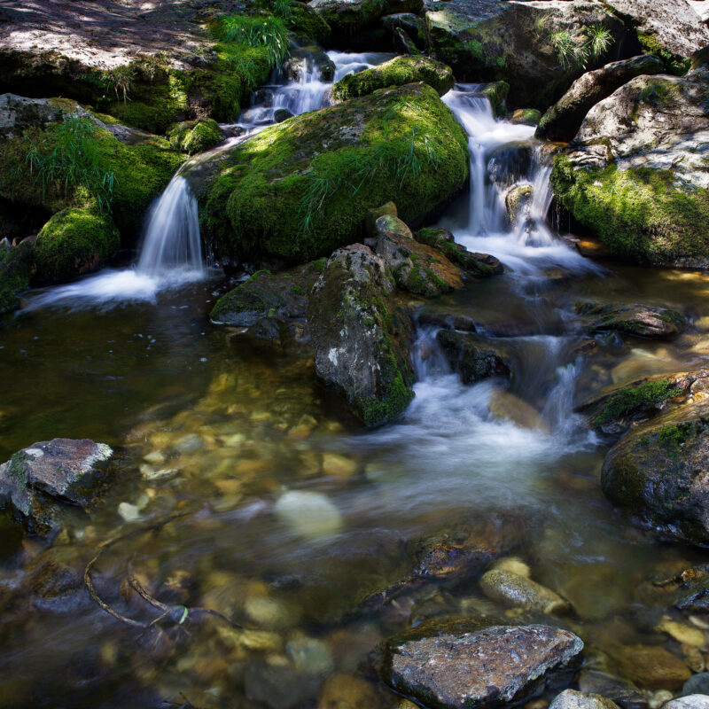 Sunlight, Shadows and Waterfalls by John Dunne. 