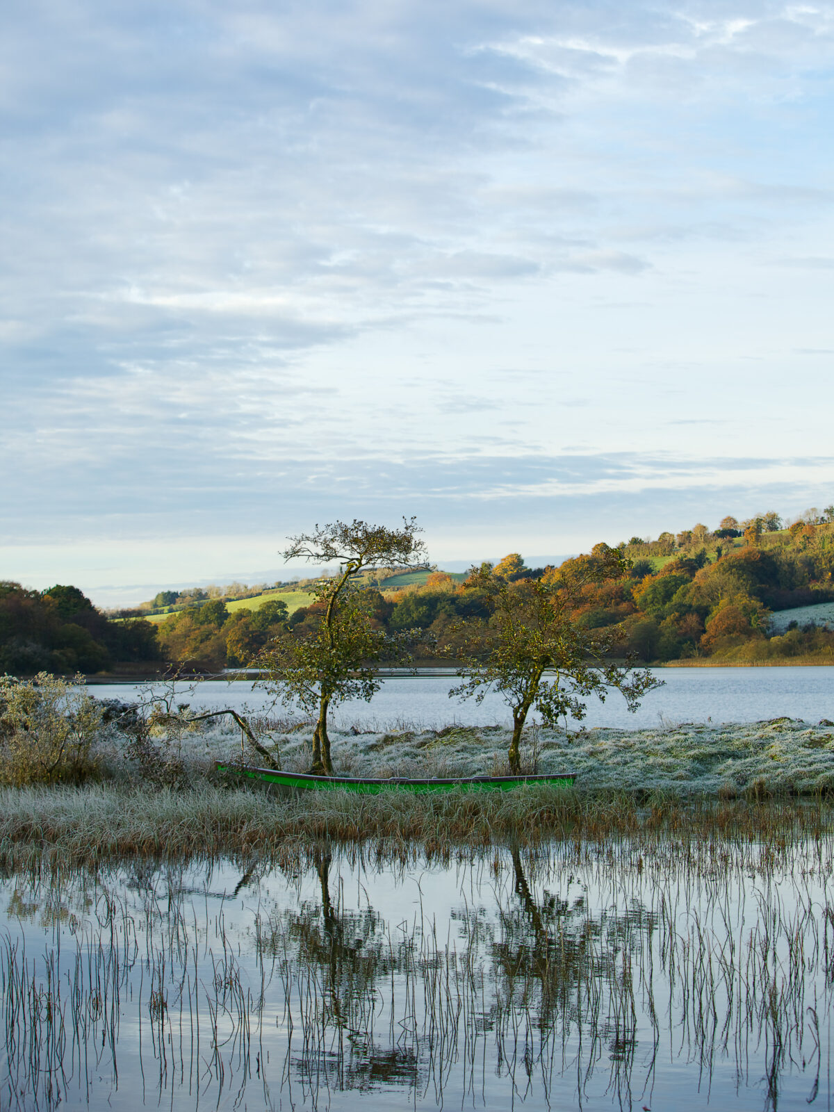 The Abandoned Boat Rowboat beside a still lake with two trees and autumn hills reflected in the water in County Cavan.