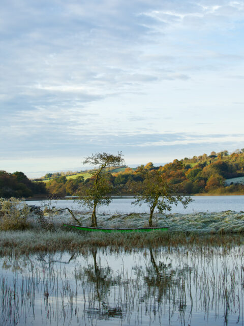 Rowboat beside a still lake with two trees and autumn hills reflected in the water in County Cavan.