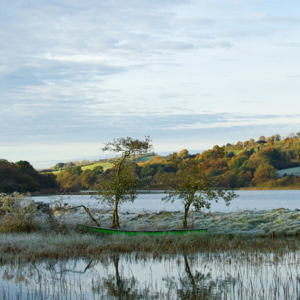Rowboat beside a still lake with two trees and autumn hills reflected in the water in County Cavan.
