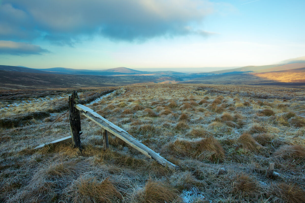 The Fence and the Field by John Dunne. 