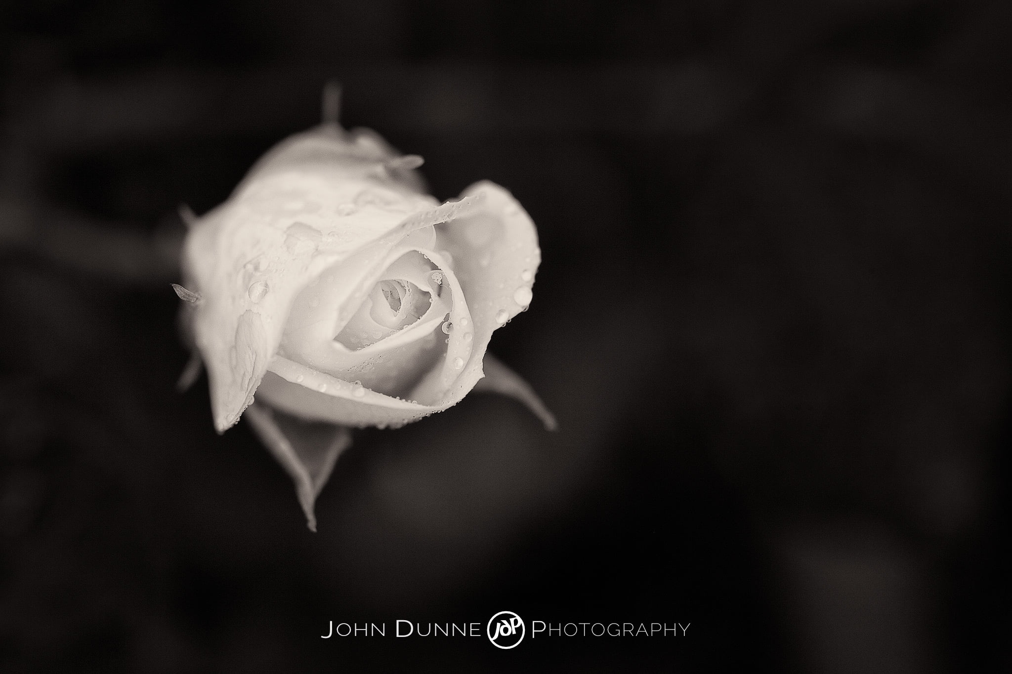 The Promise by John Dunne.