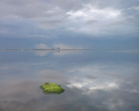 Moss-covered rock reflected in still water at Blackrock, Dublin Bay, with Poolbeg chimneys on the horizon.