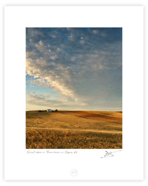 Farmhouse surrounded by golden fields under a cloud-filled sky near Sagres in the Algarve, colour photograph.