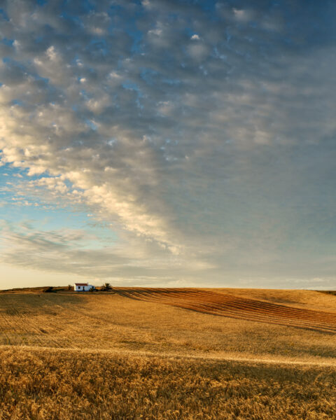 Farmhouse surrounded by golden fields under a cloud-filled sky near Sagres in the Algarve, colour photograph.