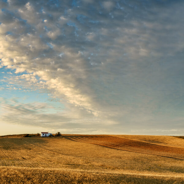 Farmhouse surrounded by golden fields under a cloud-filled sky near Sagres in the Algarve, colour photograph.